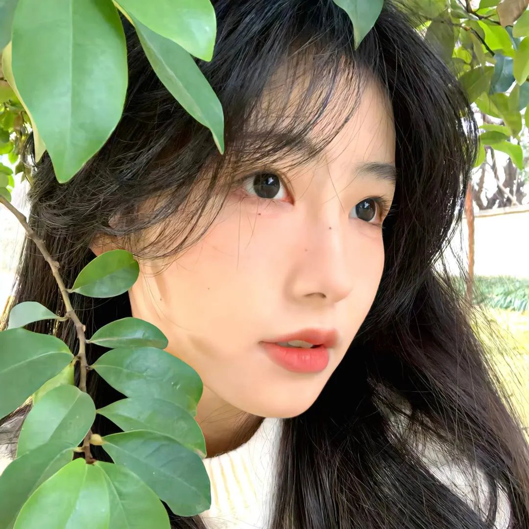 砂丘之女